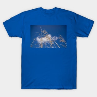 Seed heads. T-Shirt